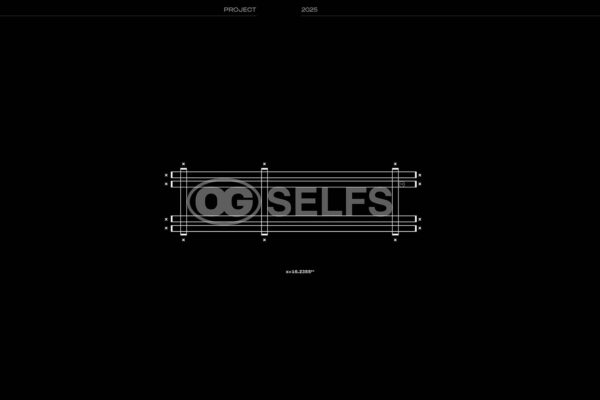 OG SELFS Presentation_Page_02