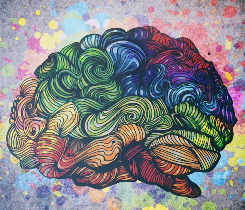 Visual Identity System and Design Psychology